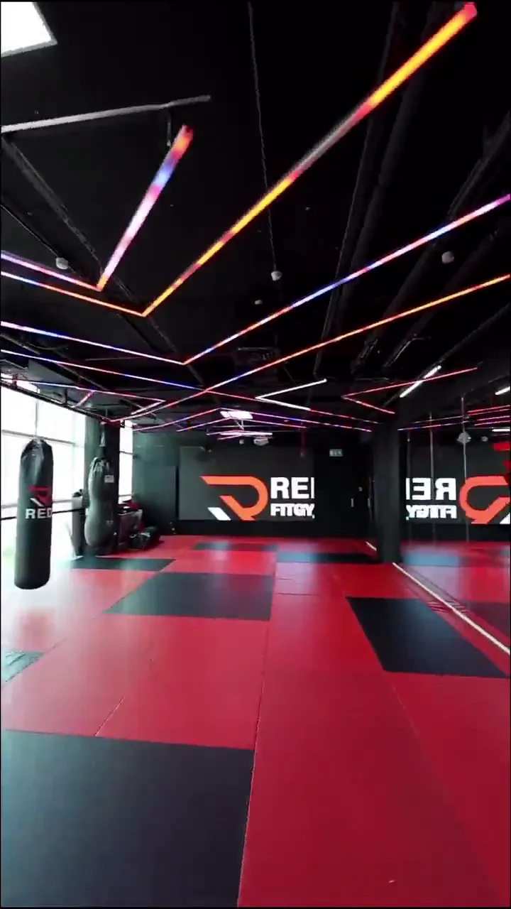 Combat training zone with heavy bags at Red Gym, Barsha Heights, Dubai