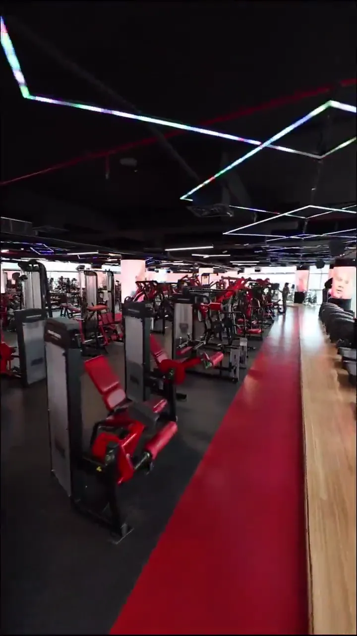 Strength training floor with Hammer Strength machines at Red Gym, Barsha Heights, Dubai
